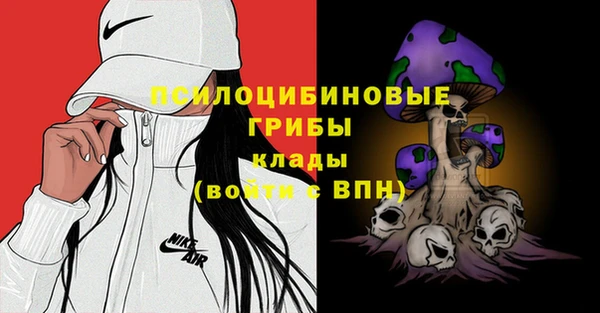 дживик Алексеевка